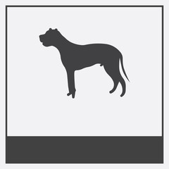  icon isolated on white background