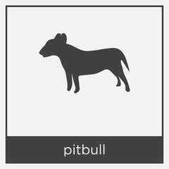 pitbull icon isolated on white background