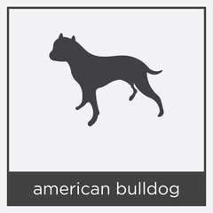 Obraz premium american bulldog icon isolated on white background
