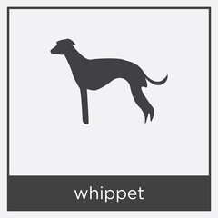 whippet icon isolated on white background
