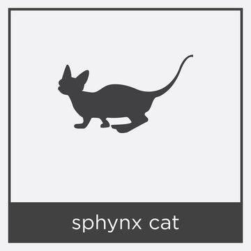 sphynx cat icon isolated on white background