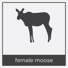 female moose icon isolated on white background