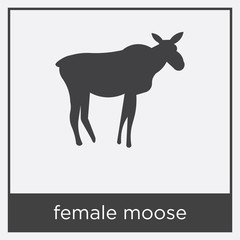 female moose icon isolated on white background