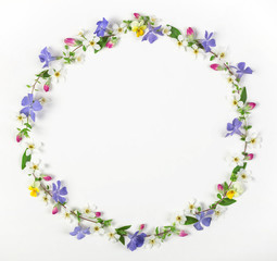 Round frame wreath made of spring wildflowers, lilac flowers, pink buds and leaves isolated on white background. Top view. Flat lay.