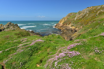 Fototapeta na wymiar Le Pulec, Jersey, U.K. Coastline in Spring.