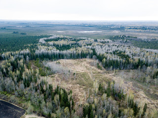 drone image. aerial view of rural area with fields and forests in countryside