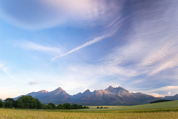 Morning view of High Tatras, Slovakia. Horizontal shot of mountains landscape with grain fields in a front. Beautiful morning light. © 1tomm