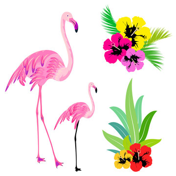 beautiful tropical palm leaves and flamingo,on a white
