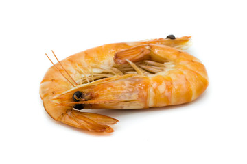 Schrimps shrimps Krabben ungepult isoliert freigestellt auf weißen Hintergrund, Freisteller