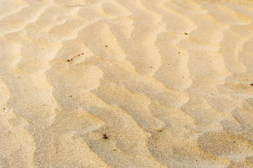 Fototapeta na wymiar Warm colored sand dunes