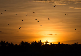 Sunset Key West