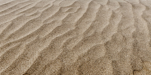 Beach sand dunes in the UAE