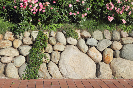 Frisian stone wall planted with rosebushes