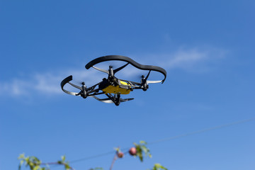 Mini dron volando entre frutales