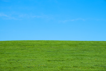 schöne Wiese mit blauen Himmel