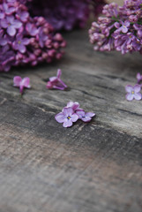 Spring flowers. Purple Lilac flowers Frame on Rustic Textured Gray wooden background. Top view, flat lay