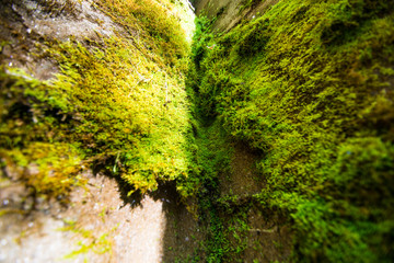 Catawba Falls, North Carolina