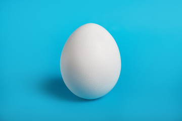 white chicken egg close up on blue background