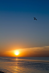 Fototapeta na wymiar travel vacation getaway beach sunset 