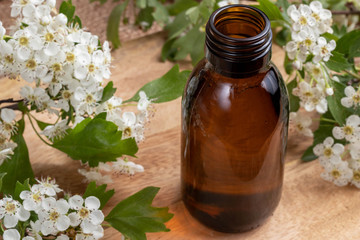 A bottle of tincture with blooming hawthorn branches