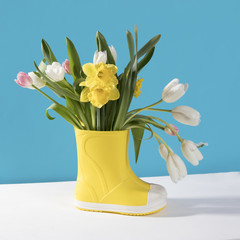 the Yellow rubber boots with a bouquet of flowers of yellow daffodils and white and pink tulips. Garden accessories.