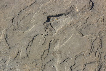 Stone background texture background natural stone