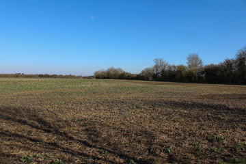 Fototapeta na wymiar Countryside field on a sunny day