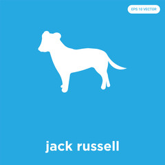 jack russell icon isolated on blue background