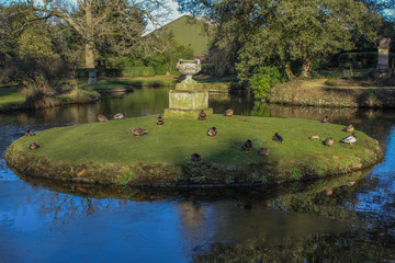 Fototapeta premium Central river island with ducks swimming