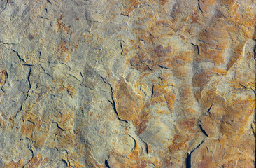 Stone background texture background natural stone