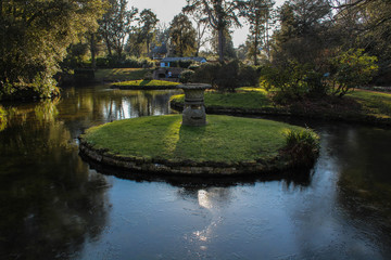 Central pond island with grass and ornament