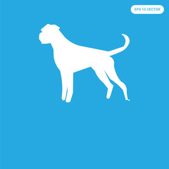  icon isolated on blue background