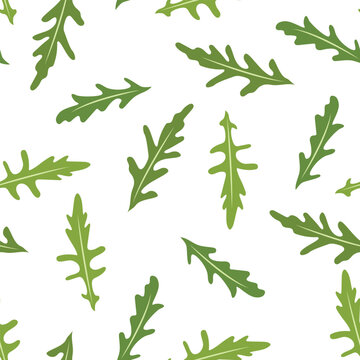 Seamless pattern with rucola or arugula.