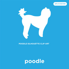 poodle icon isolated on blue background