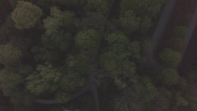 Flug mit einer Drohne &uuml;ber ein Waldst&uuml;ck an einem See zum Sonnenaufgang am Morgen mit rot gl&uuml;hender Sonne