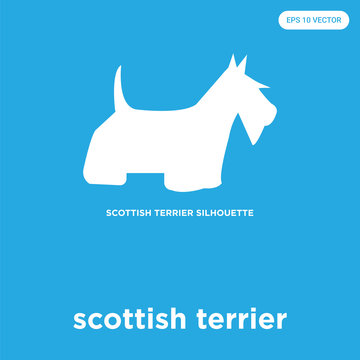 scottish terrier icon isolated on blue background