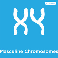 Masculine Chromosomes icon isolated on blue background