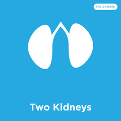 Two Kidneys icon isolated on blue background