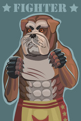 Dog bulldog fighter/ Dog bulldog fighter he stands in the ring he attacks and defends and achieves victory this screensaver on your mobile phone