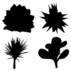Fototapeta na wymiar Black silhouettes of hand drawn cactus set. Desert exotic plants succulents collection. Vector.