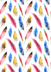 Watercolor colorful feather on white background pattern texture