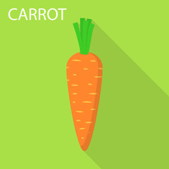 Carrot icon. Flat illustration of carrot vector icon for web design