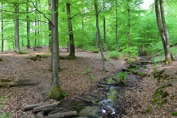 Rodenbach im Vorspessart im Main-Kinzig-Kreis Hessen