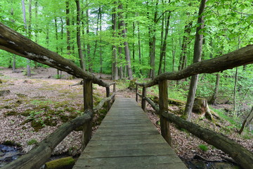 Obraz premium Rodenbach im Vorspessart im Main-Kinzig-Kreis Hessen 
