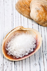 Coarse Sea Salt. Selective focus.