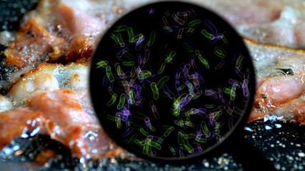 Searching for bacteria in meat
