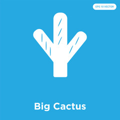 Big Cactus icon isolated on blue background