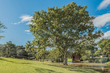 Fototapeta premium lake with house
