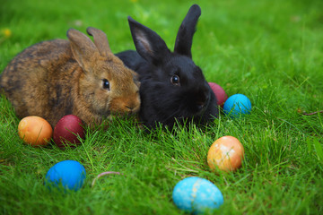 rabbits with wreaths on their heads sitting on the lawn, Easter symbols