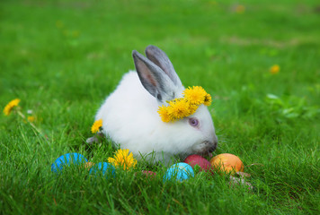 rabbits with wreaths on their heads sitting on the lawn, Easter symbols